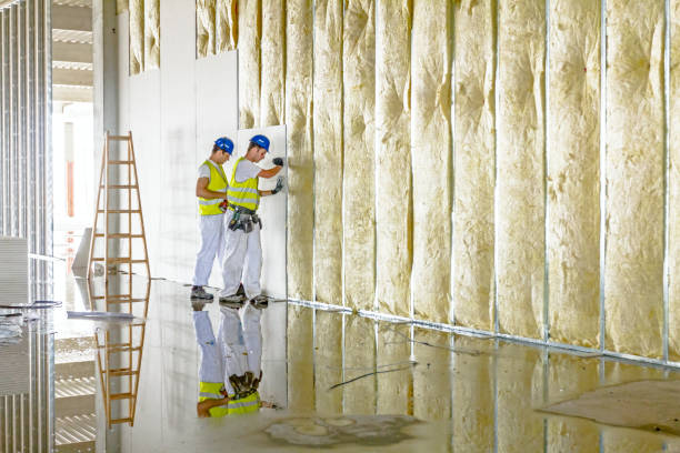 Best Insulation Installation Services in Forest Heights, MD